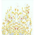thumbnail image 3 of Daffodil Duvet Cover Set, Botanical Blooming Spring Field Gardening Theme with Color Splatters, Decorative 3 Piece Bedding Set with 2 Pillow Shams, King Size, Yellow Orange Pale Blue, by Ambesonne, 3 of 3