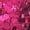 Hot Pink, variant on iiniim Women Sparkle Latin Jazz Dance Outfit Sleeveless Gymnastics Leotard with Gloves Sequins Dance Clothes Silver M