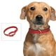 thumbnail image 4 of Collar de entrenamiento de seguridad, hebilla reflectante ajustable, resistente, antideslizante, para perros pequeños, 4 of 5