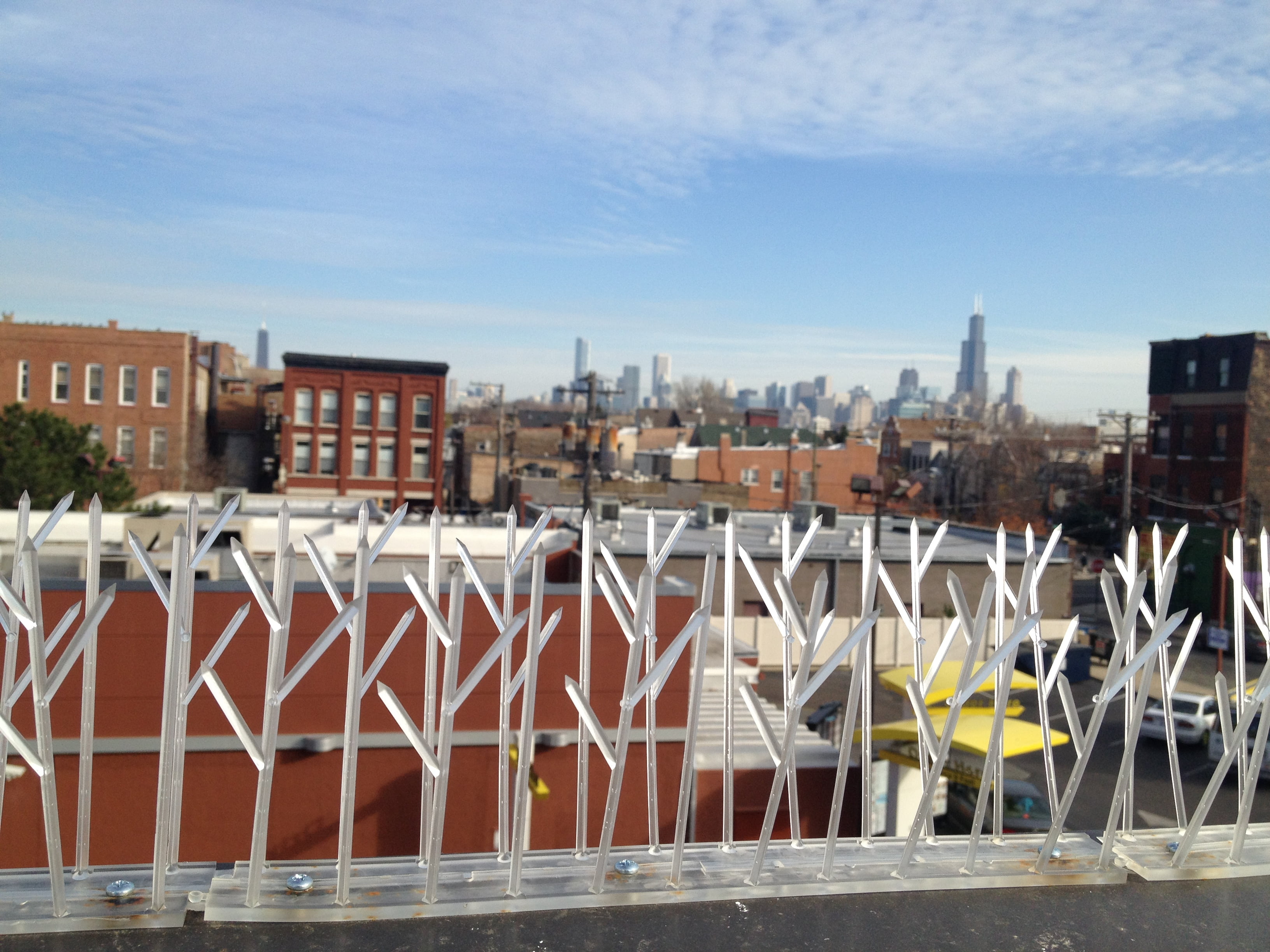 Bird Repellent Spikes,50 ft. L SP-50