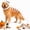 White, variant on Pet Dinosaur Costume, 31.4inch Halloween 3D Skeleton Design Costume for Medium to Large Dogs, Realistic Dino Outfit for Pet Cosplay Party Family, Round and Chubby Body,Adorably Silly Purple
