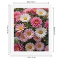 thumbnail image 2 of Paint by Numbers Kit for Adults, Garden Blooms Pink White Daisies Paint by Numbers, Easy Paint by Numbers Kit for Adults Beginner, DIY Adult Paint by Number Kits on Canvas, 12x16in Home Decor, 2 of 7