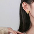 thumbnail image 4 of TIERPOP Ukraine National Emblem Ear Stud Fashion Jewelry for Daily Wear Birthday Party, 4 of 11