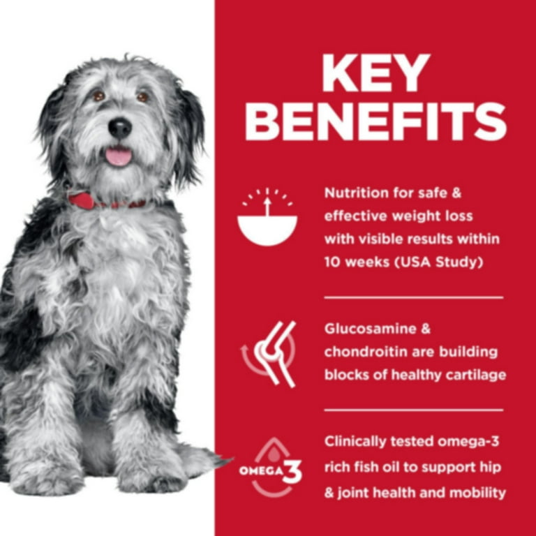 allergy wet dog food Grain-Free Wet Food & Enhancers for Fussy Dogs