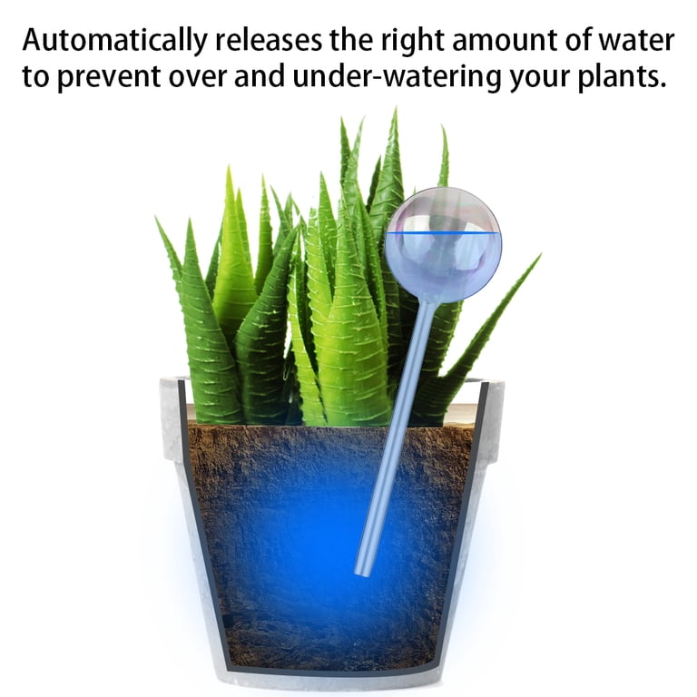 Tomorotec Self-Watering Glass Bulbs, 2-Pack photo 5