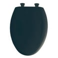 thumbnail image 2 of Bemis 1200SLOWT Lift-Off Plastic Elongated Slow-Close Toilet Seat, Available in Various Colors, 2 of 7