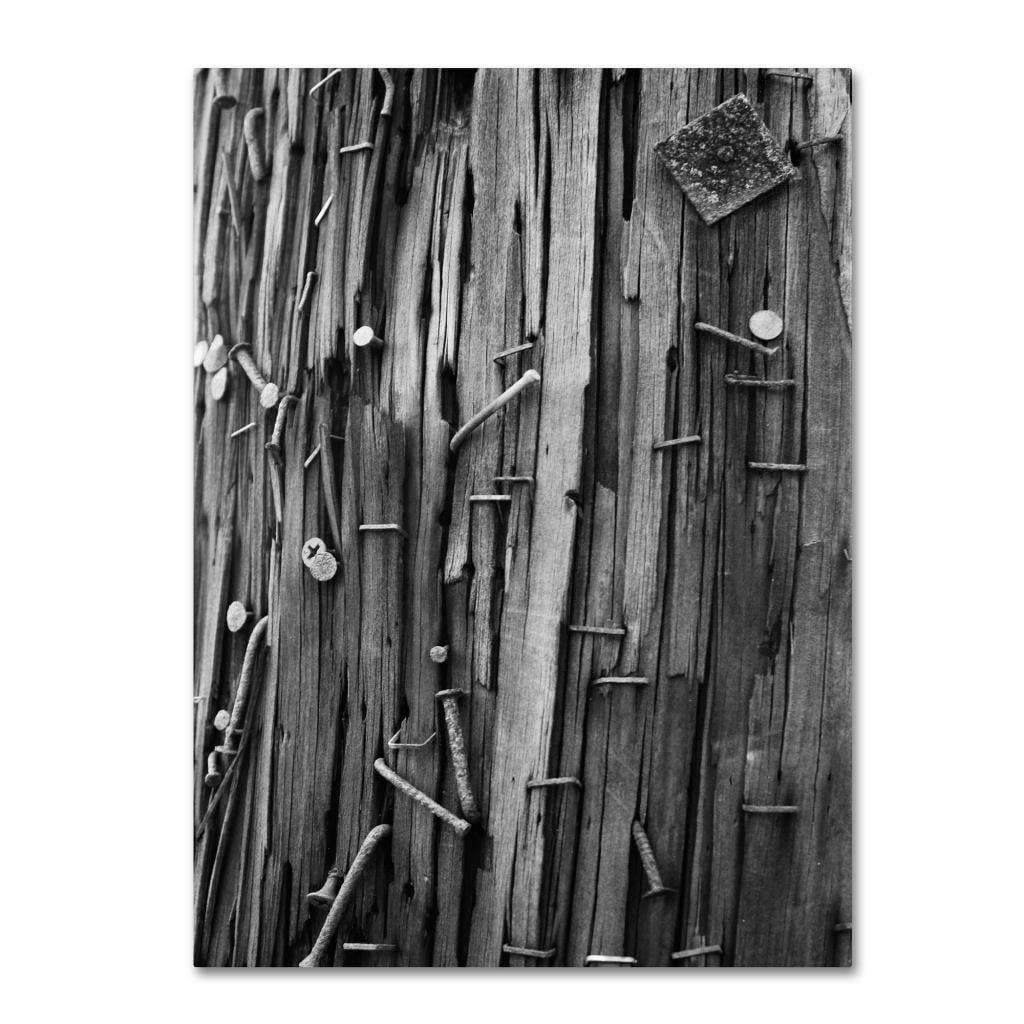 Trademark Fine Art "Nails & Staples" Canvas Wall Art by Patty Tuggle