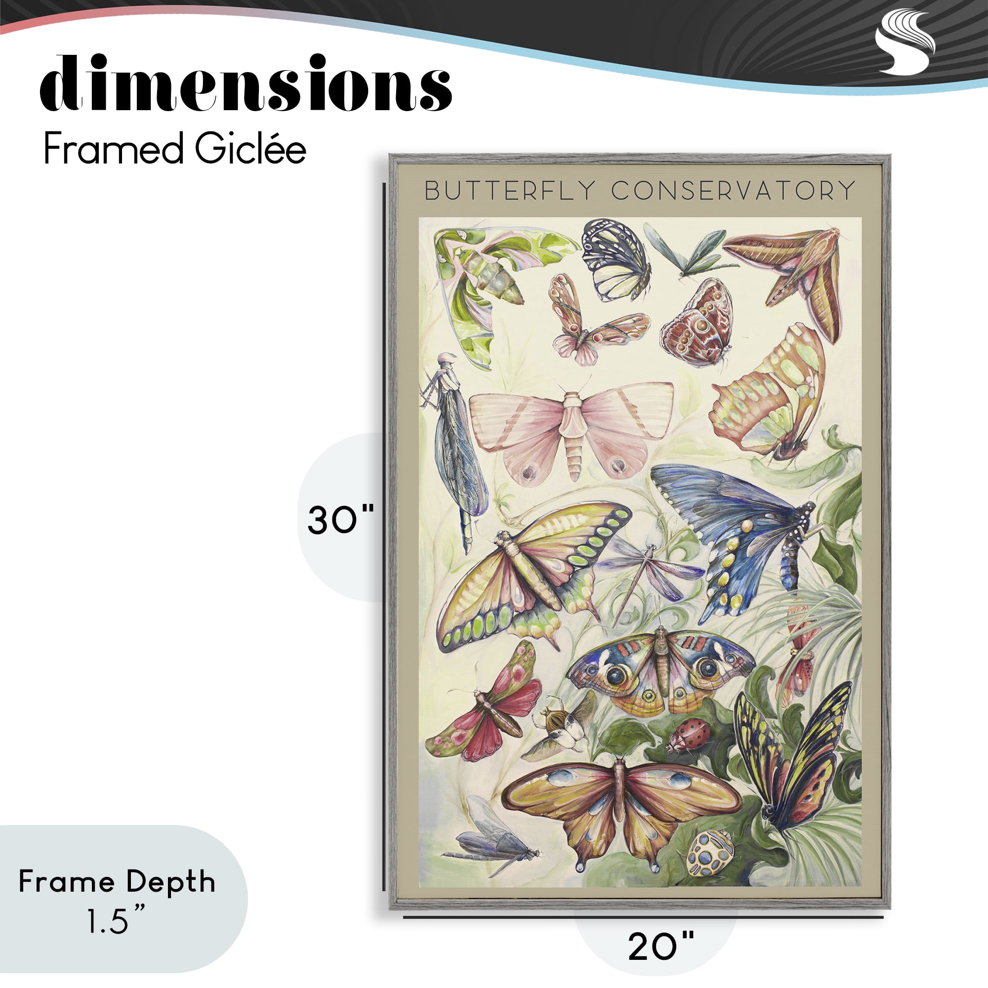 Stupell Industries Butterfly Conservatory Insects Gray Framed Giclee Art, design by Diannart