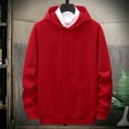 thumbnail image 2 of FDGIU Hoodies for Men Lightweight Plus Size Pullover Sweatshirts Fall 2025 Loose Fit Sports Casual Hooded with Pocket Fashion Clothes, 2 of 6