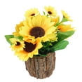 thumbnail image 4 of Pot de Fleurs Rustique pour Plantes Succulentes Seau de Fleurs de Ferme, 4 of 5