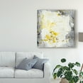 thumbnail image 3 of Trademark Fine Art 'Soft Cliffs I' Canvas Art by Joyce Combs, 3 of 4