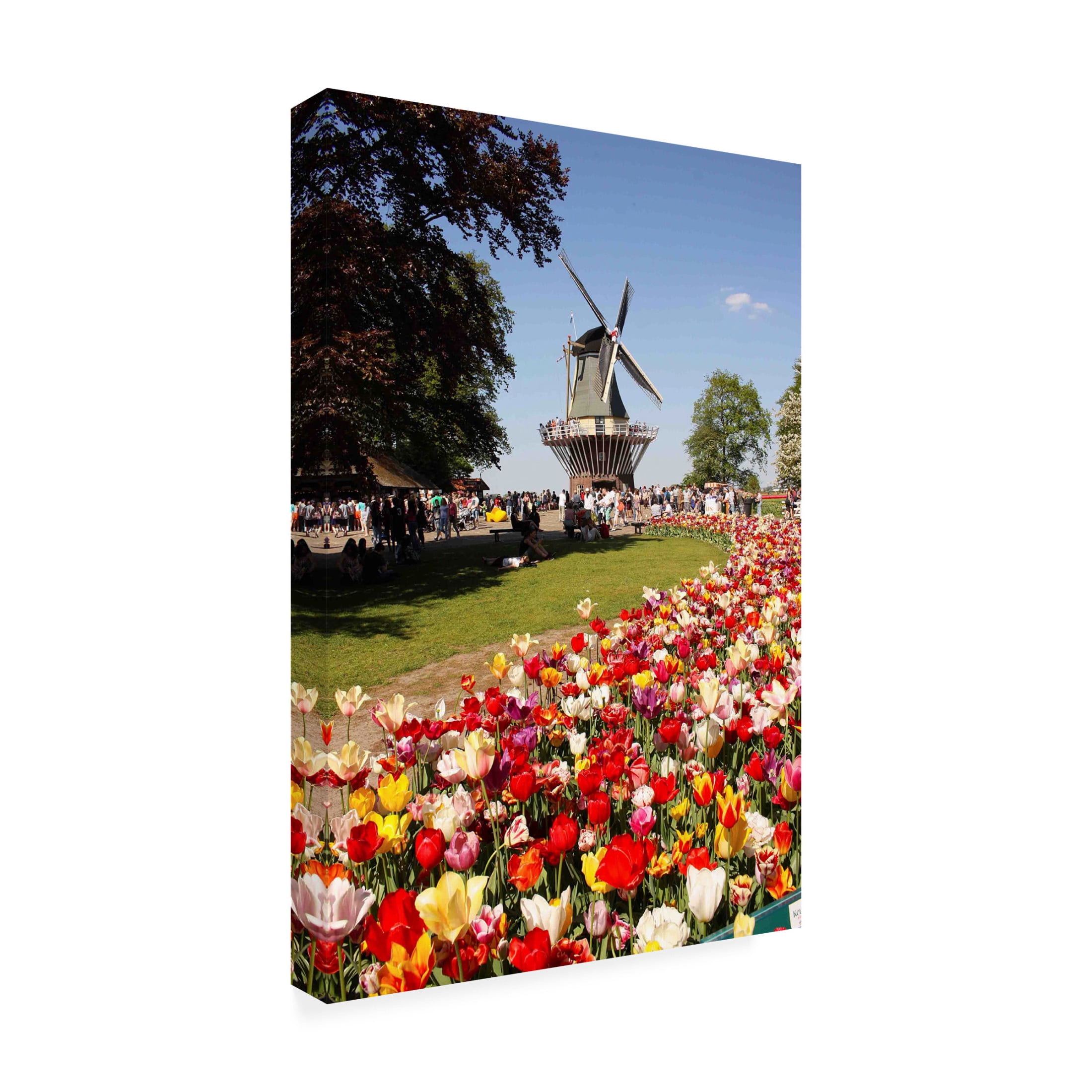 Canvas Wall Art - DANE 'Keukenhof Gardens 9' Wall Art for Living Room, Bedroom, or Office Décor by Trademark Fine Art - 30 x 47 Inches