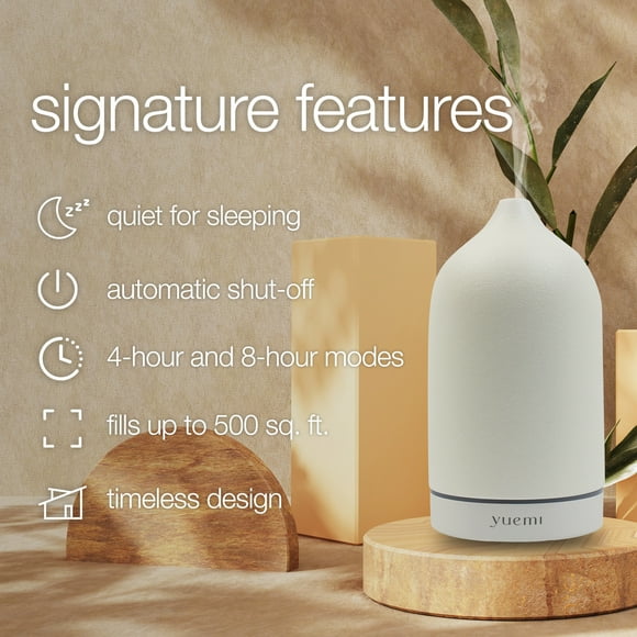 Household electronic aromatherapy machine