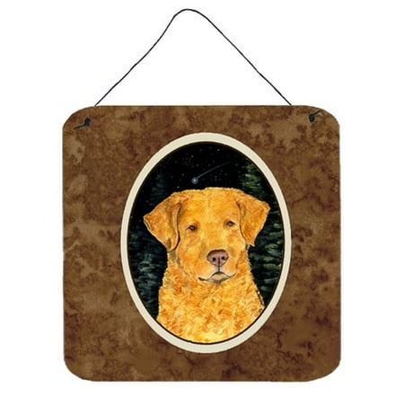 - Caroline's Treasures Starry Night Chesapeake Bay Retriever Painting Print Plaque