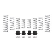 Eibach E85-209-012-03-22 Pro-UTV/Stage 3 Performance Spring System, Set of 8