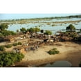 thumbnail image 2 of Communities In Flood Ravaged Areas Of The Sindh Province Pakistan Sept 5 2010. History (24 x 18), 2 of 2