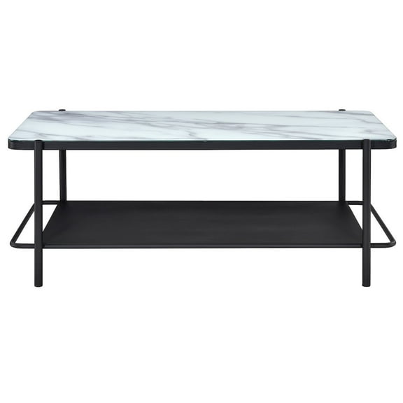 Furniture of America Joaquin Metal 1-Shelf Coffee Table in Black and White