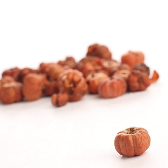 Putka Pumpkin Pods ORANGE or MIXED ~ 3 CUPS Crafts Autumn Bowl Fillers Primitive 