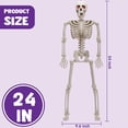 thumbnail image 5 of Joyfy 24 Inch Halloween Skeleton Decor with LED Light Eyes,Posable Skeleton Halloween Prop Full Body with Movable Joints for Haunted House Indoor Outdoor Decoration Spooky Decor, 5 of 10