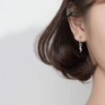 thumbnail image 3 of Pendientes marrones nuevos de otoño e invierno, pendientes colgantes vintage mate para mujer, pendientes colgantes de moda de metal, joyería de tendencia 2020 --- e040hong -- Producto e040hong, 3 of 5