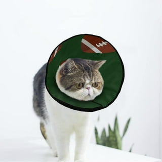 Cat cones petsmart 2025
