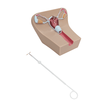 Anatomy Lab IUD Plastic Insertion Model