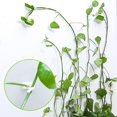 thumbnail image 4 of Clips Para Accesorios De Plantas Trepadoras, Clips Adhesivos Para Enredaderas De Jardín, Soporte Fijo Para Enredaderas De Pared 50 Uds. Minnieouse HA040587-02, 4 of 6