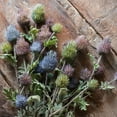 thumbnail image 3 of Faux Silk Artificial Thistle Flower Stem 26" Tall, 3 of 14