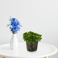 thumbnail image 3 of 9 Pcs Transparent Garden Plant and Flower Planting Pot Set with Drainage Holes 9pcs Plastic Decor, 3 of 6