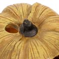 thumbnail image 3 of unbranded Refugio Para Reptiles En Resina Con De Calabaza Marrón, 3 of 6