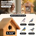 thumbnail image 3 of Casita para pájaros para ventana ANSTEEP de madera tratada contra la intemperie con vista transparen, 3 of 6