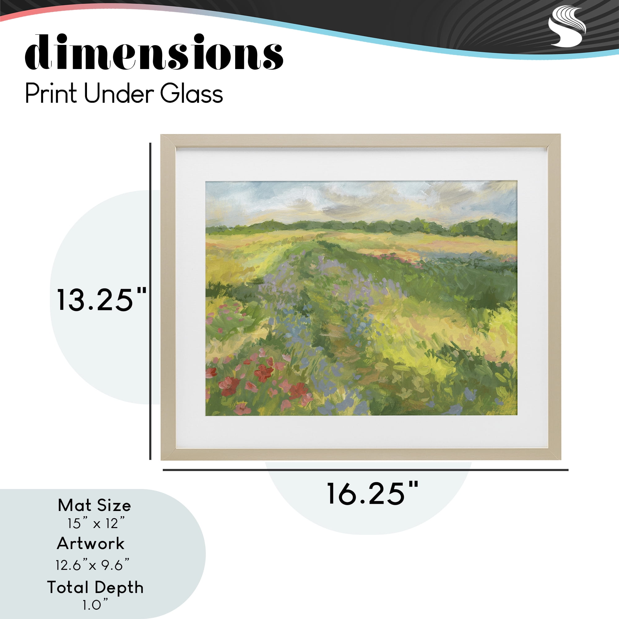 Stupell Industries Windswept Flower Meadow Birch Framed Print Under Glass, design by Victoria Barnes