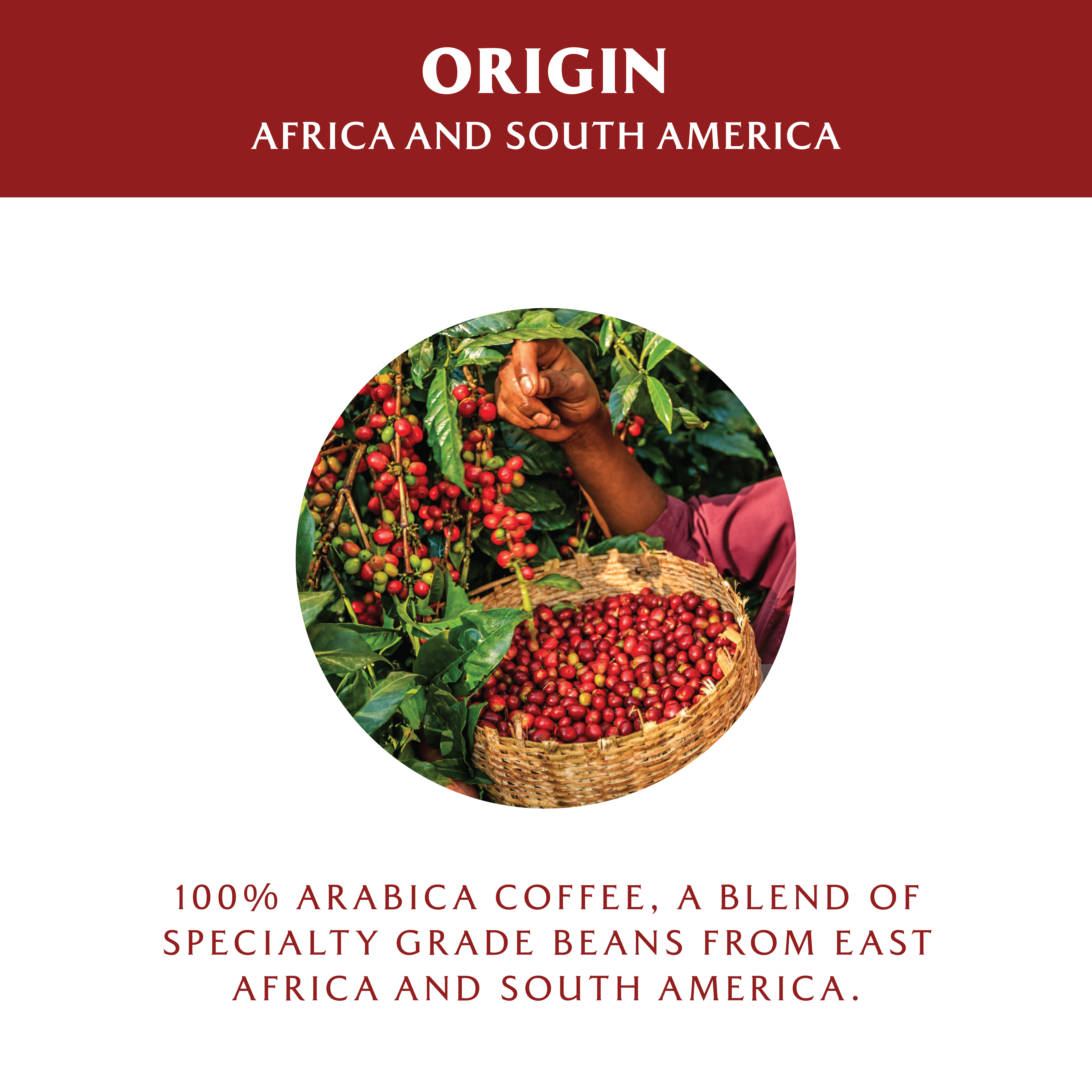 Roastesso Coffee Gourmet Cubanito Nespresso Pods OriginalLine Compatible Espresso Capsules Cafecito, Intensity 9 (40 Count)