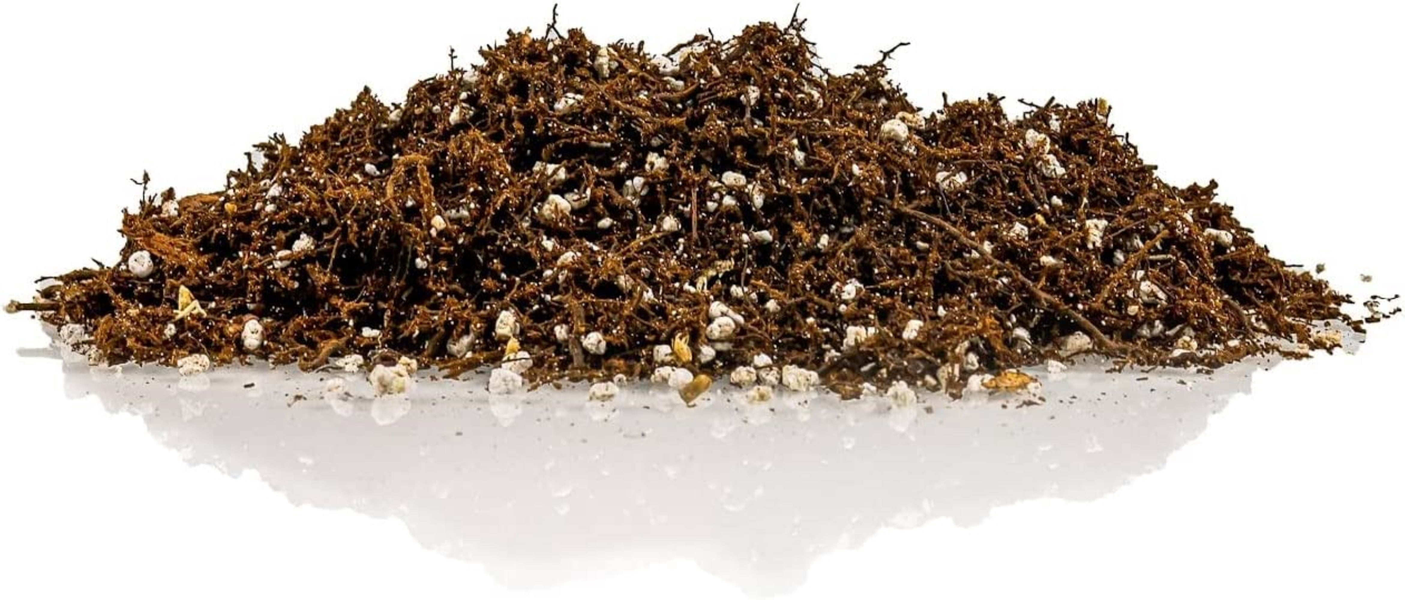 Gardenera Fern + Perlite Soil Mix for Repotting and Planting Succulents and Cactuses - 4 Quart Bag