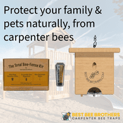 Best Bee Brothers Pine Turbo Trap - Outdoor, Professional Grade, Carpenter Bees Trap, 1 Count