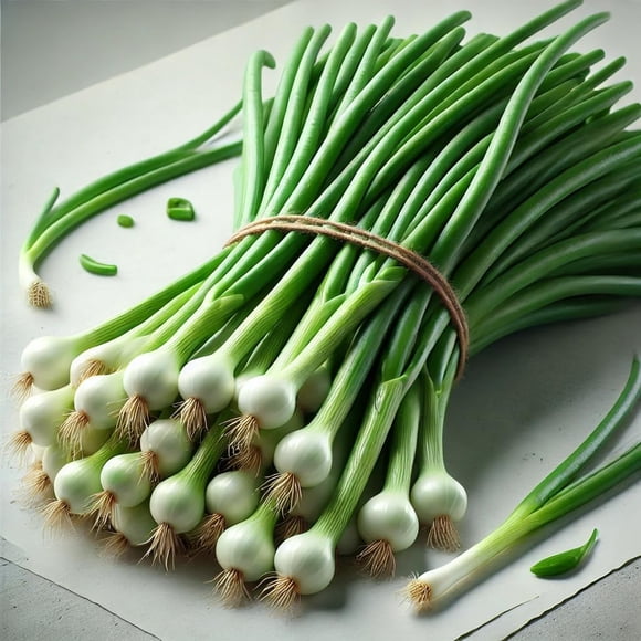 GSDWIUEW Green Welsh Onion Seeds – Bunching Onion/Scallion Variety – Hardy, Fast-Growing & Productive – Ideal for Home Gardens, Containers & Continuous Harvesting