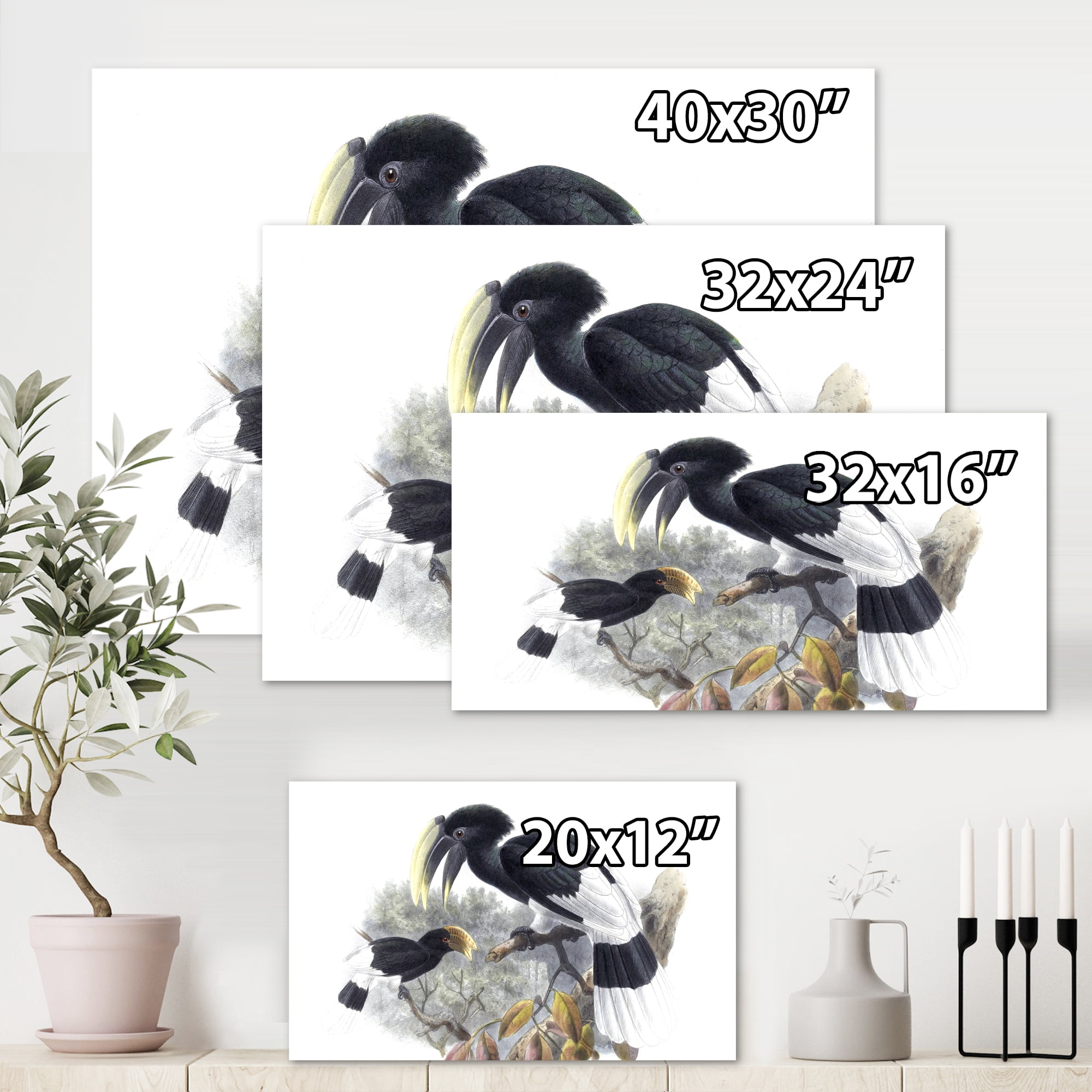 Designart ' Ancient Bird Illustration I ' Traditional Canvas Wall Art Print