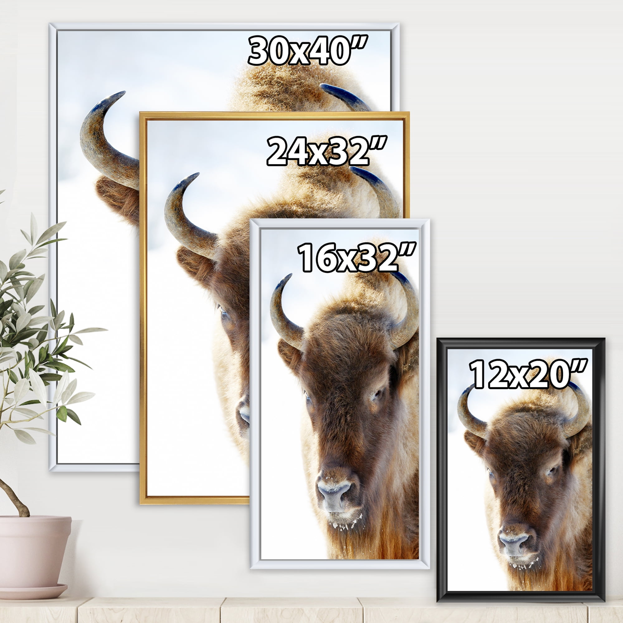 Designart 'Close UP Of Wild Bison' Farmhouse Framed Canvas Wall Art Print