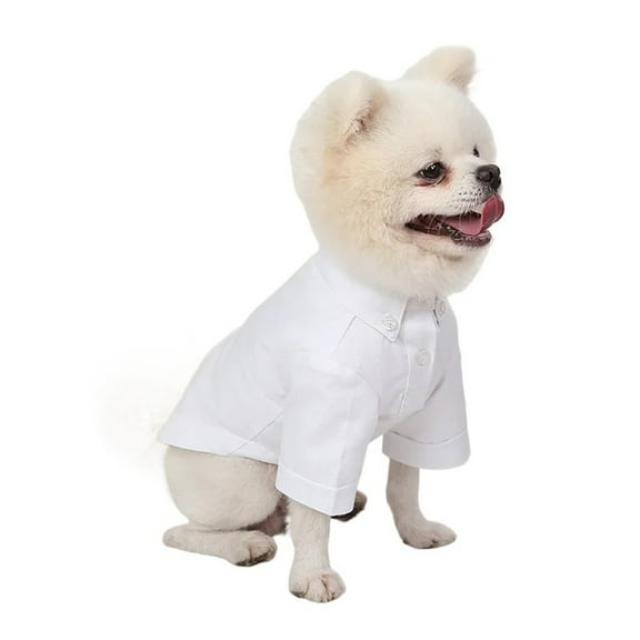 BAIANNAN Spring and Autumn Pet Bottoming Shirts Versatile Slim Dog Clothes Boutique Pet Trendy Clothes