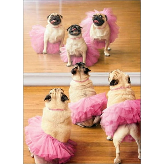 Avanti Press Ballerina Pugs Funny / Humorous Dog Birthday Card