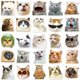 thumbnail image 2 of Lindos gatos, 50 pegatinas de emoticones, taza de agua para cuaderno, pegatinas de libros grandes, regalos de papelería, resistentes al agua, 2 of 5