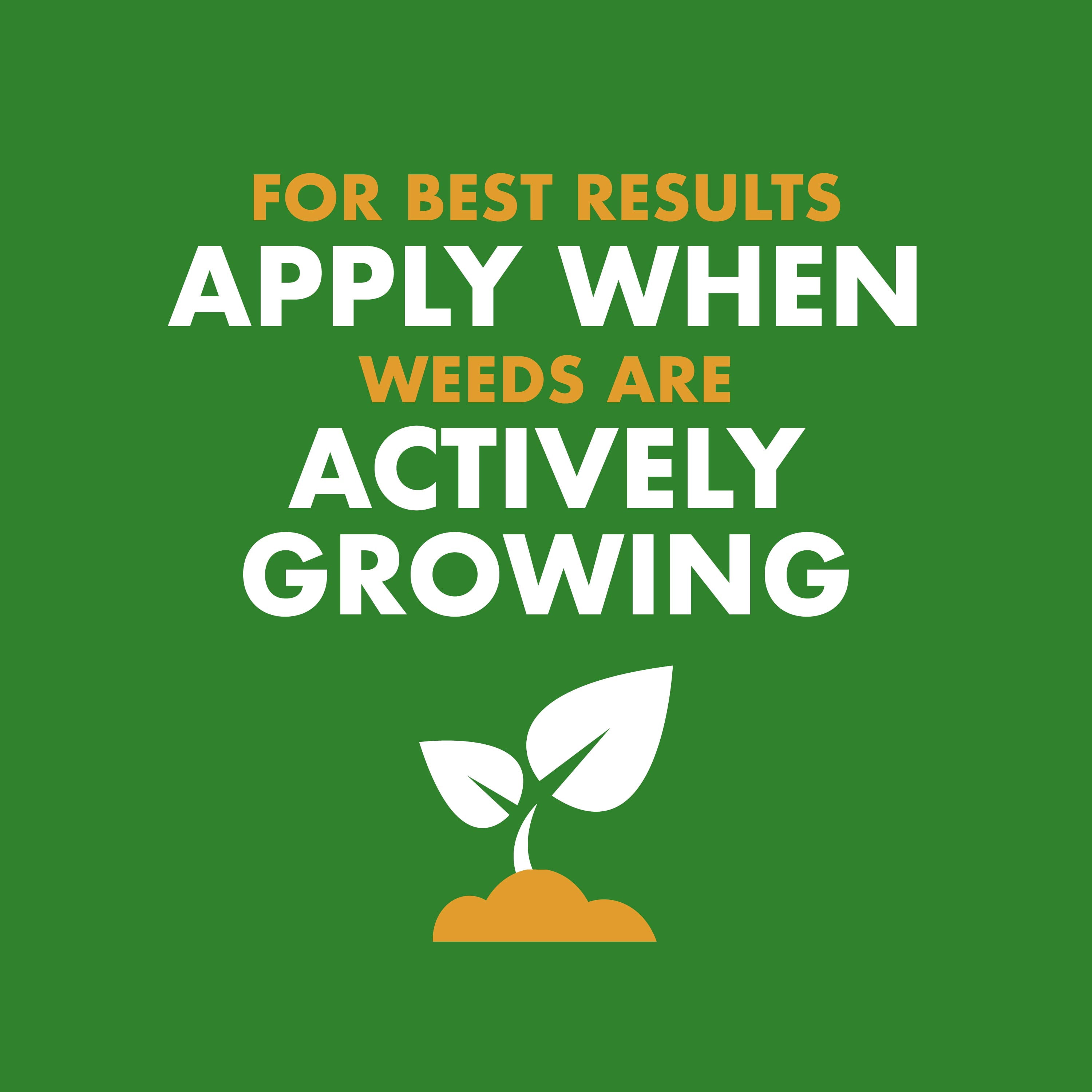 Spectracide Weed & Feed 20-0-0, Easy to Use QuickFlip Sprayer Kills Weeds & Feeds Lawn, 32 Ounces