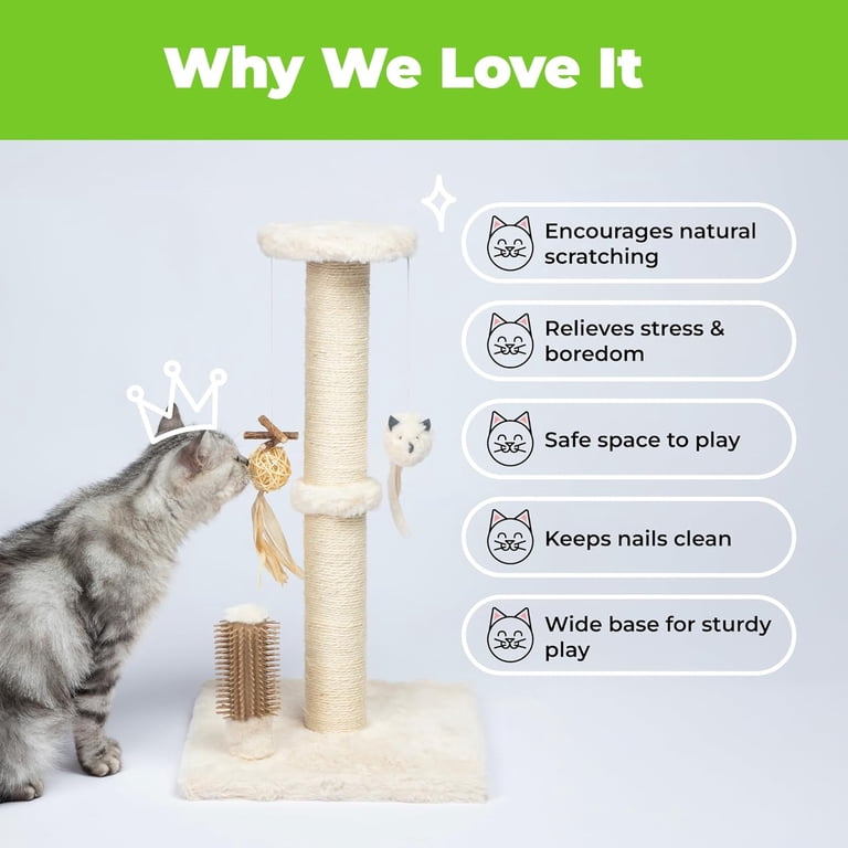 bacteria from cat litter box Boxie Self-Cleaning Probiotic Lightweight Clumping Litter