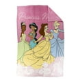 thumbnail image 4 of Disney Princess Kids Twin Silk Touch Blanket, 100% Polyester, 4 of 6