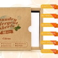 thumbnail image 6 of Laundry Detergent Sheet 2Pack  Scent 2Pack Citrus Scent Soap Strips Take  Travel Outdoor Green Life No Plastic, 6 of 6
