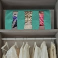 thumbnail image 4 of Foldable Fabric Storage Organizer Bag 3 Sectional 24x14x11in (Pack of 2, Teal), 4 of 4