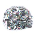 thumbnail image 1 of Lot de 200 cristaux brillants en résine acrylique à dos plat avec trou pour couture, accessoires d'artisanat (#1), 1 of 4