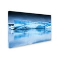 thumbnail image 2 of Trademark Fine Art 'Symbiose' Canvas Art by Philippe Sainte-Laudy, 2 of 3
