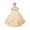 Champagne, variant on Flower Girl Dress - Elegant Tulle & Lace Princess Gown for Weddings, Pageants, First Communion (Ages 2-16)