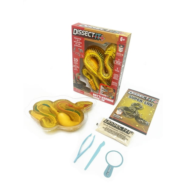 Dissect It Rattlesnake Superlab Dissection Kit for Kids, Realistic